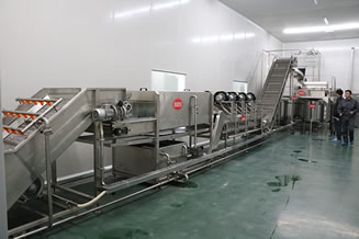 獼猴桃深加工工程案例